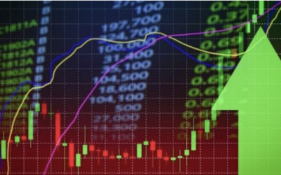 Informe semanal 14 de octubre 2024